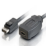 8in DisplayPort™ Male to HDMI® Female Adapter Cabler 